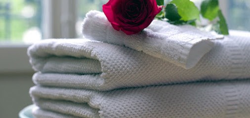 Laundry of the Emerald Coast, Blanchisserie à Saint-Jouan-des-Guérets
