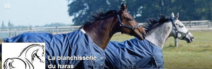 La Blanchisserie du Haras, Blanchisserie à Saint-Junien