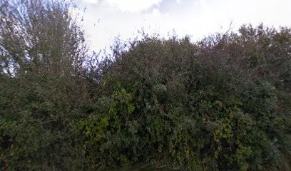 Belle Ile Blanc, Blanchisserie au Palais