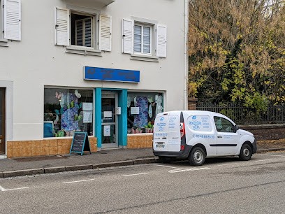 4 Plis, Blanchisserie à Haguenau