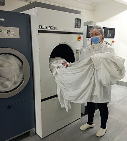 Les BRAS De Dynamique, Blanchisserie à Palaiseau